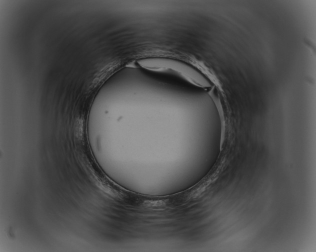 X0000096940057200802291042