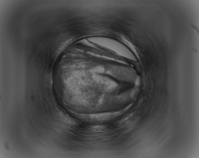 X0000096940059200802291042