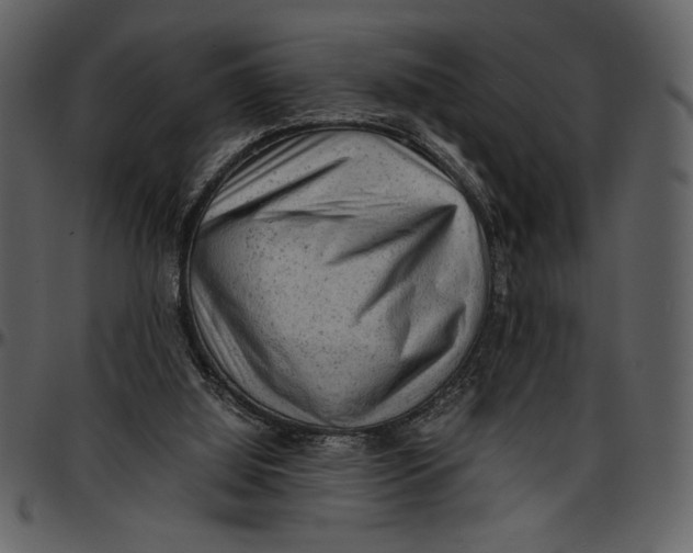 X0000096940060200802291042