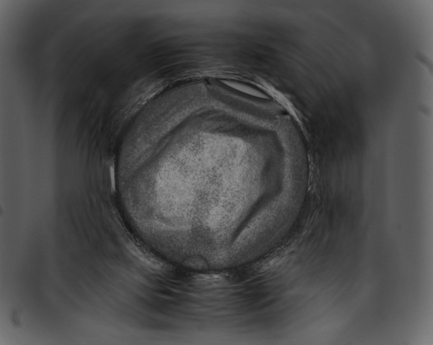 X0000096940061200802291042