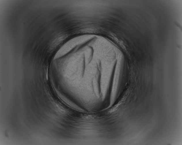 X0000096940062200802291042