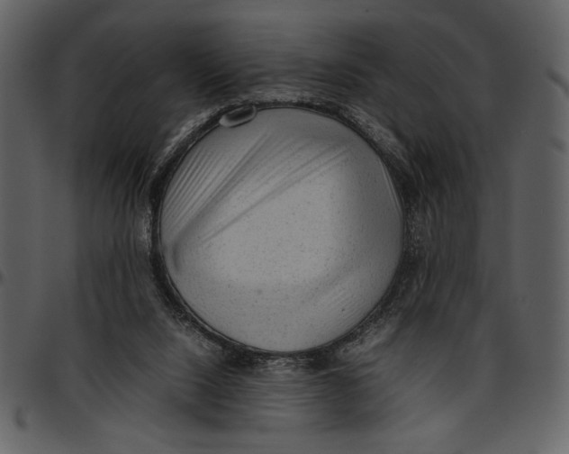 X0000096940064200802291042