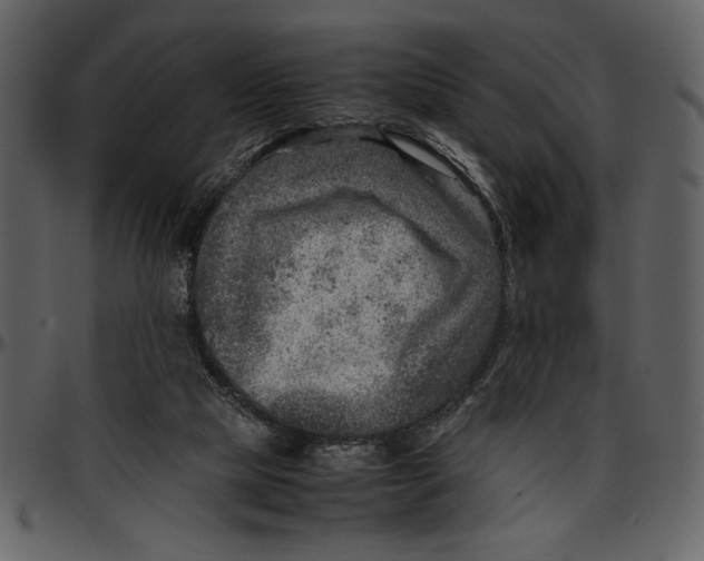 X0000096940065200802291043