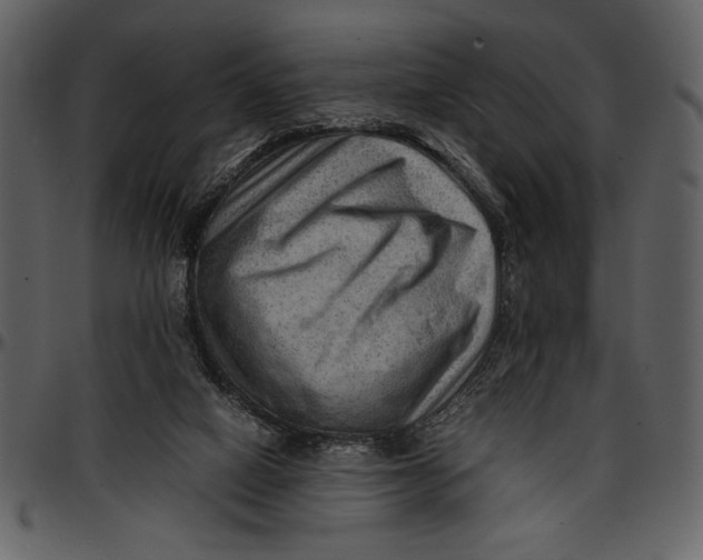 X0000096940066200802291043