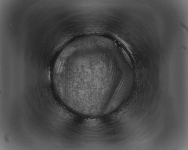 X0000096940067200802291043