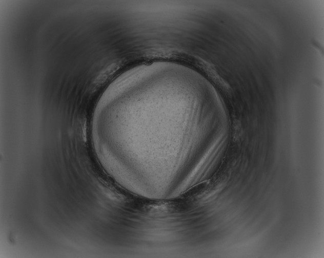 X0000096940068200802291043