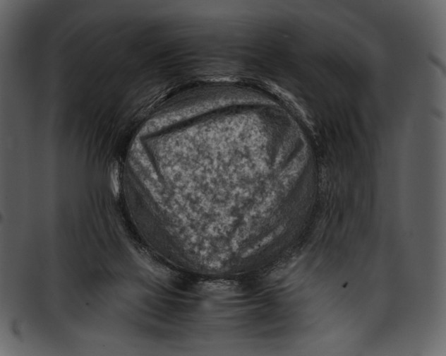 X0000096940069200802291043