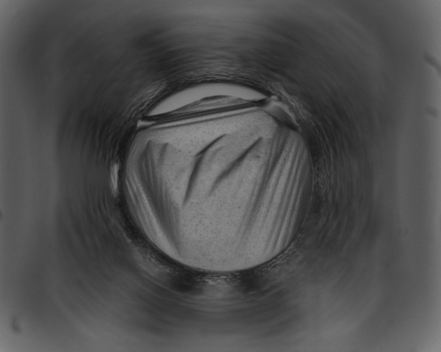 X0000096940070200802291043