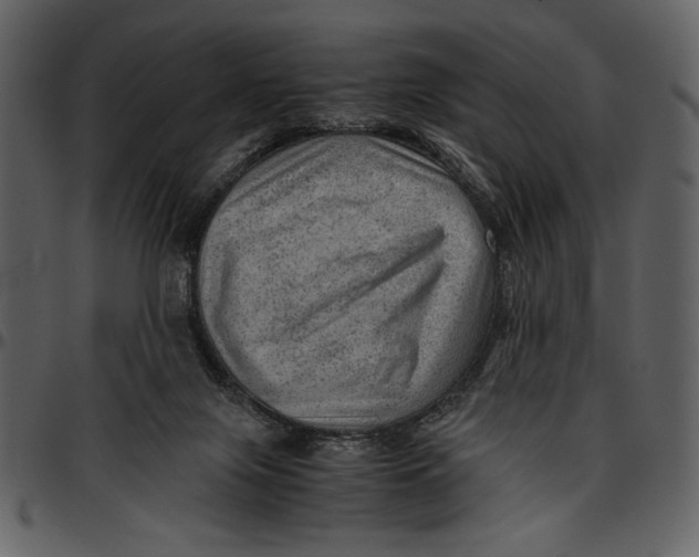 X0000096940071200802291043