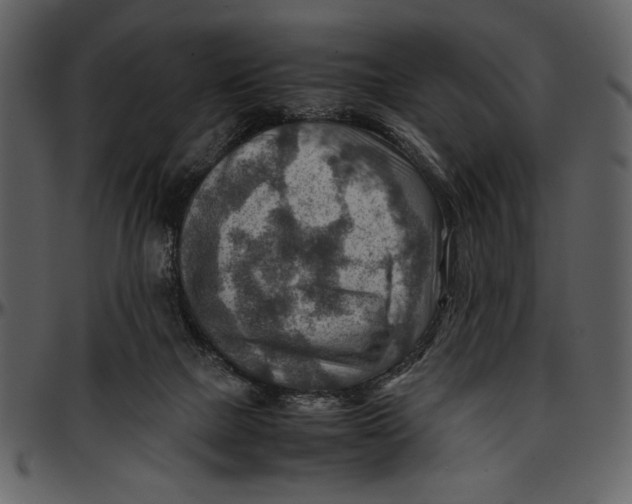 X0000096940073200802291043