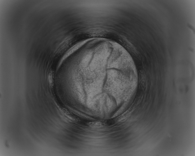 X0000096940074200802291043