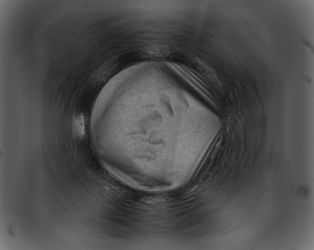 X0000096940075200802291043