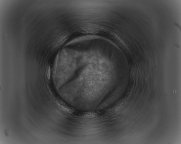 X0000096940076200802291043