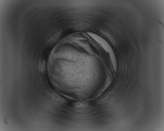 X0000096940077200802291043