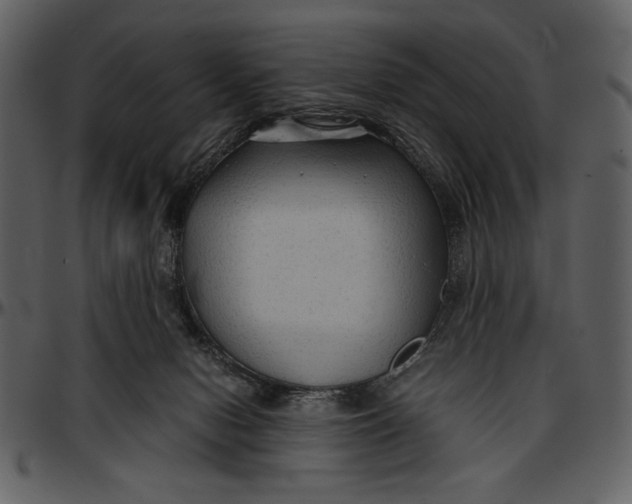 X0000096940078200802291043