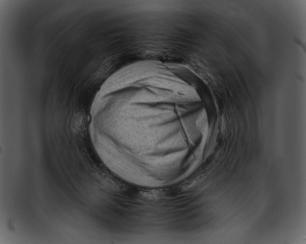 X0000096940079200802291043