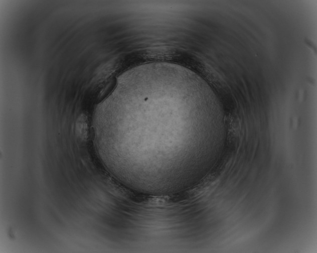 X0000096940080200802291043