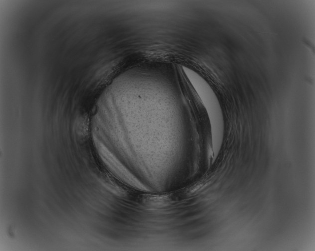 X0000096940081200802291043