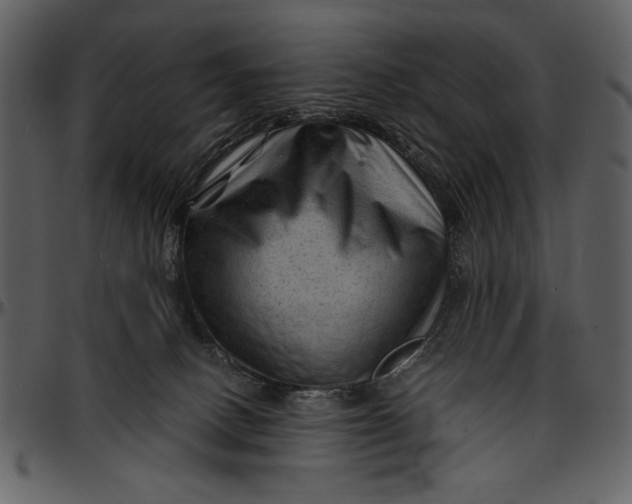 X0000096940082200802291043