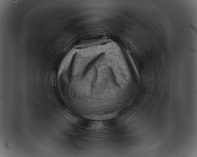 X0000096940083200802291043