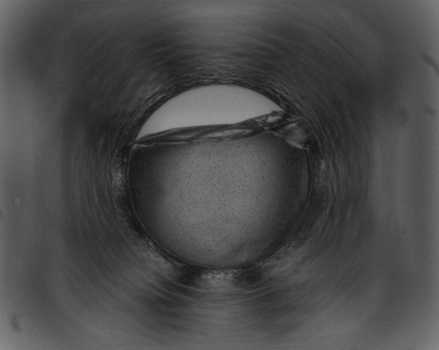 X0000096940084200802291043