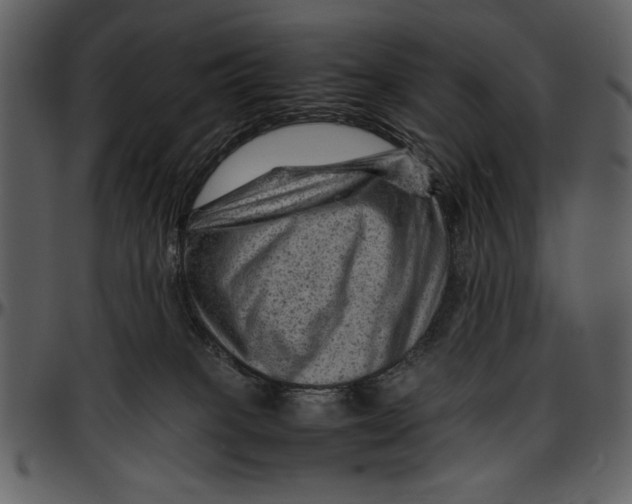 X0000096940085200802291043