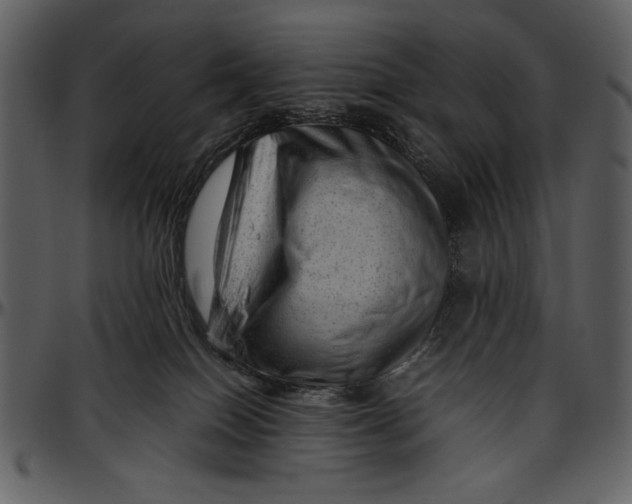 X0000096940086200802291043