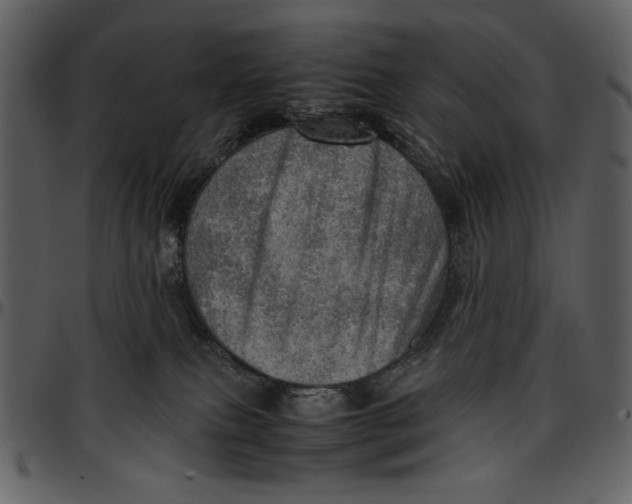 X0000096940087200802291043