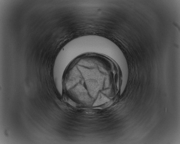 X0000096940088200802291043