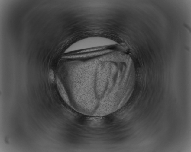 X0000096940089200802291043