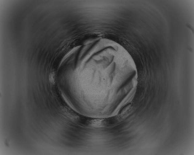 X0000096940090200802291043