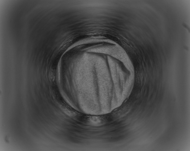 X0000096940091200802291043