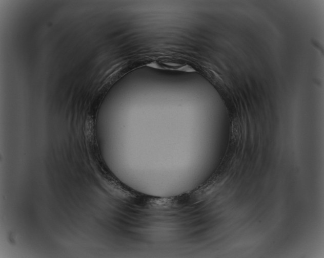 X0000096940092200802291043