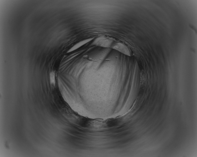 X0000096940094200802291043