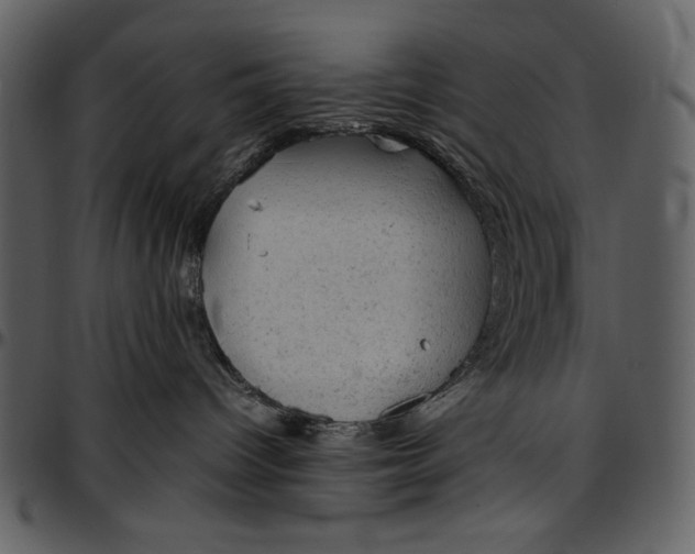 X0000096940096200802291043