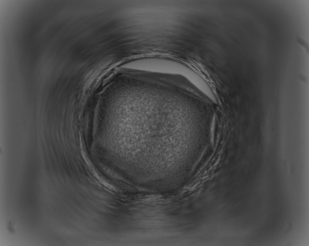 X0000096940097200802291042