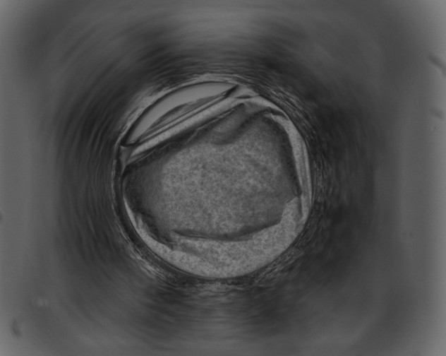 X0000096940098200802291042