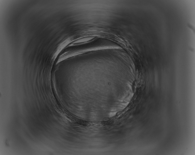 X0000096940099200802291042