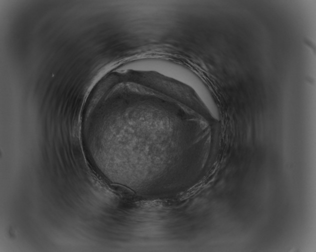 X0000096940100200802291042