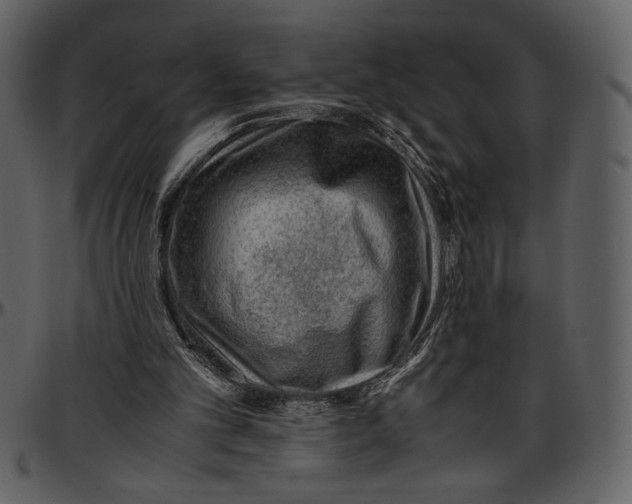 X0000096940101200802291042