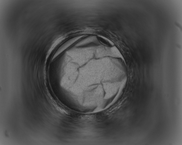 X0000096940102200802291042