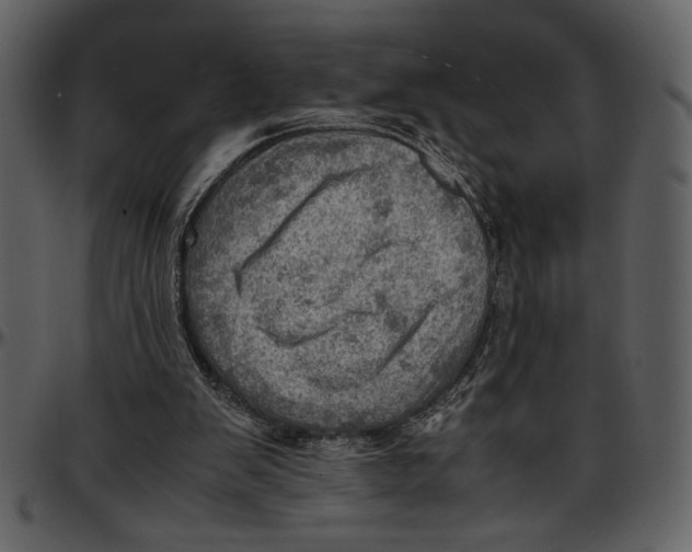 X0000096940103200802291042