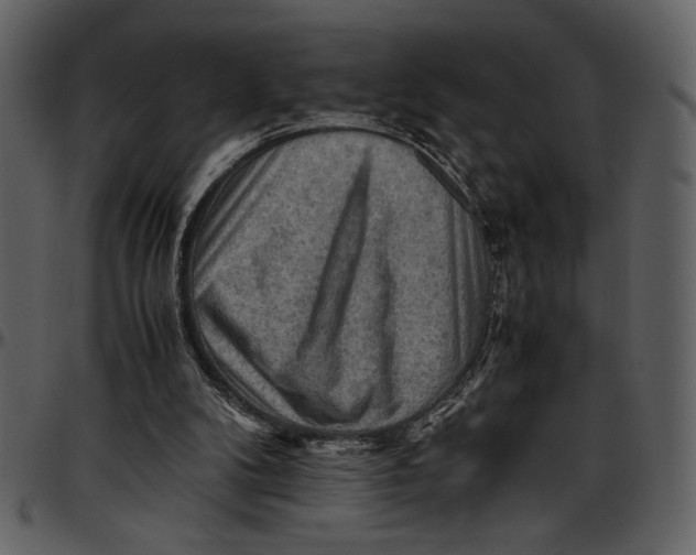 X0000096940104200802291042