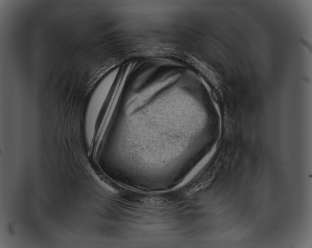 X0000096940105200802291042