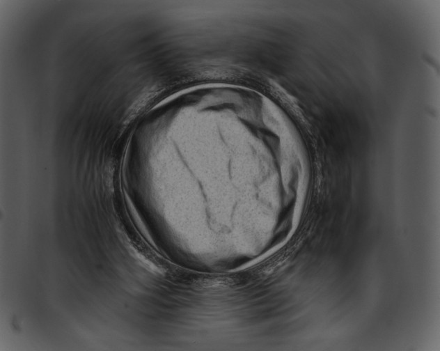 X0000096940106200802291042