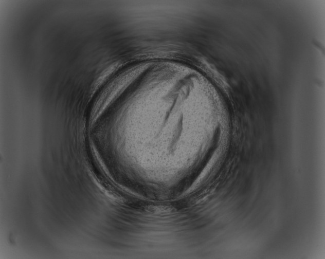 X0000096940107200802291042