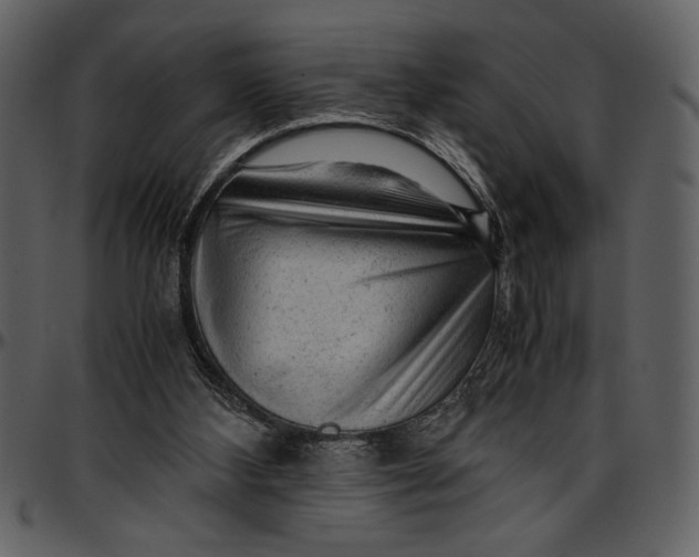 X0000096940108200802291042