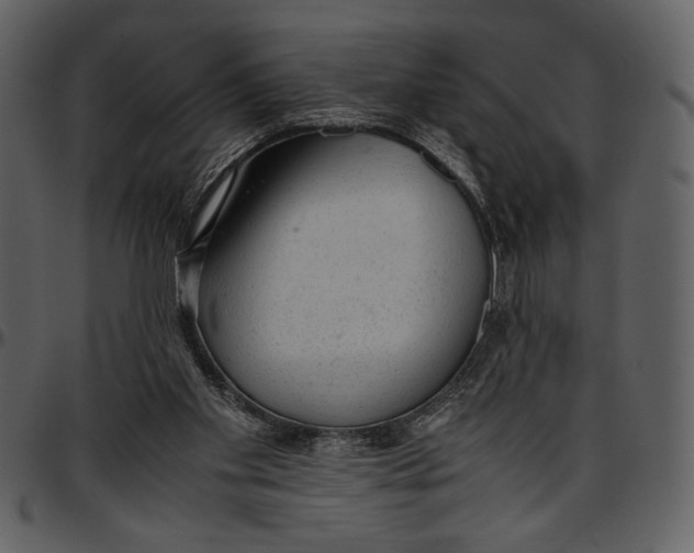 X0000096940109200802291042