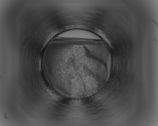 X0000096940110200802291042