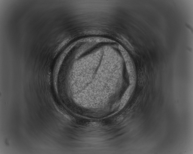 X0000096940111200802291042